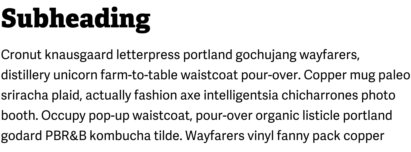 Paragraph font pair Adelle CYR Extrabold + Adelle Sans CYR Regular