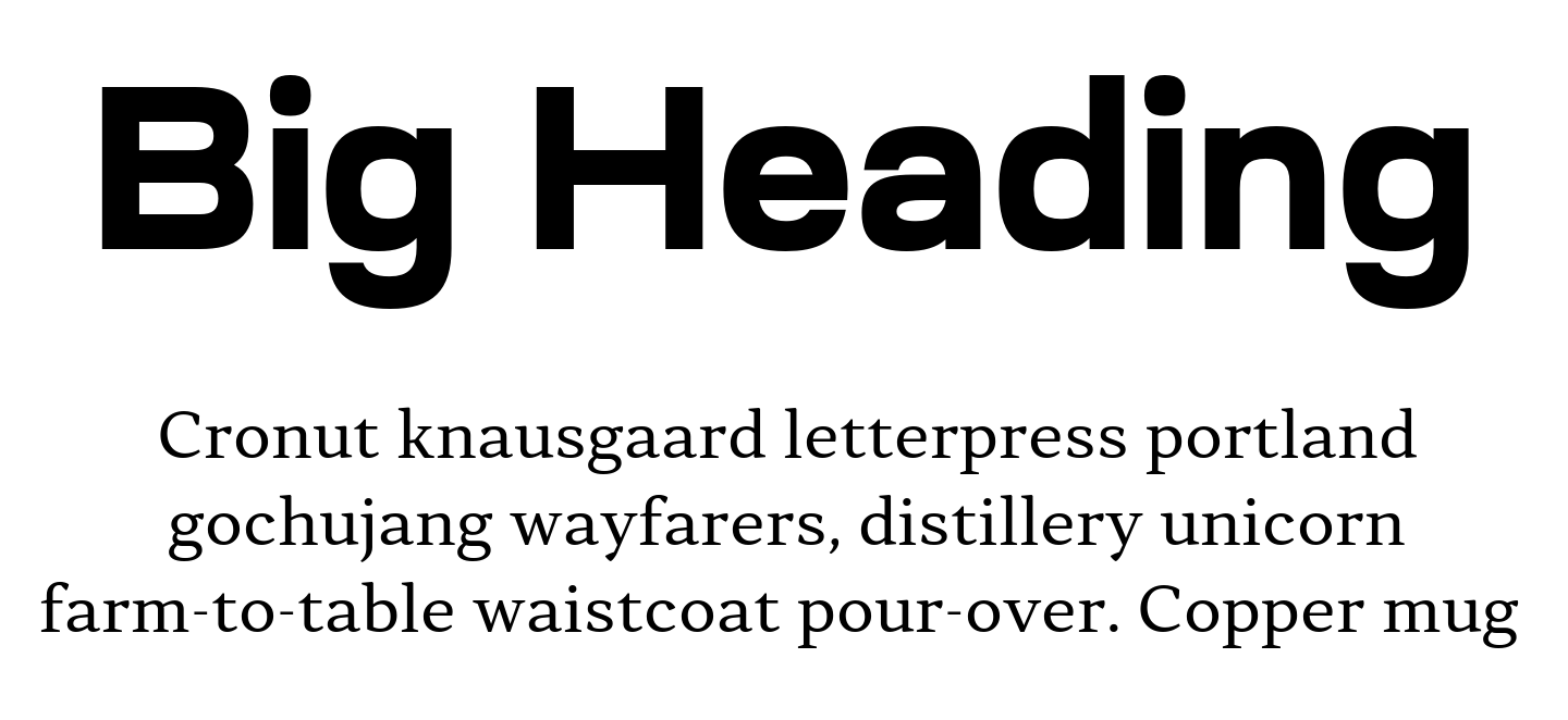 Contrast font pair Ruberoid Extra Bold + Skema Pro Omni Regular
