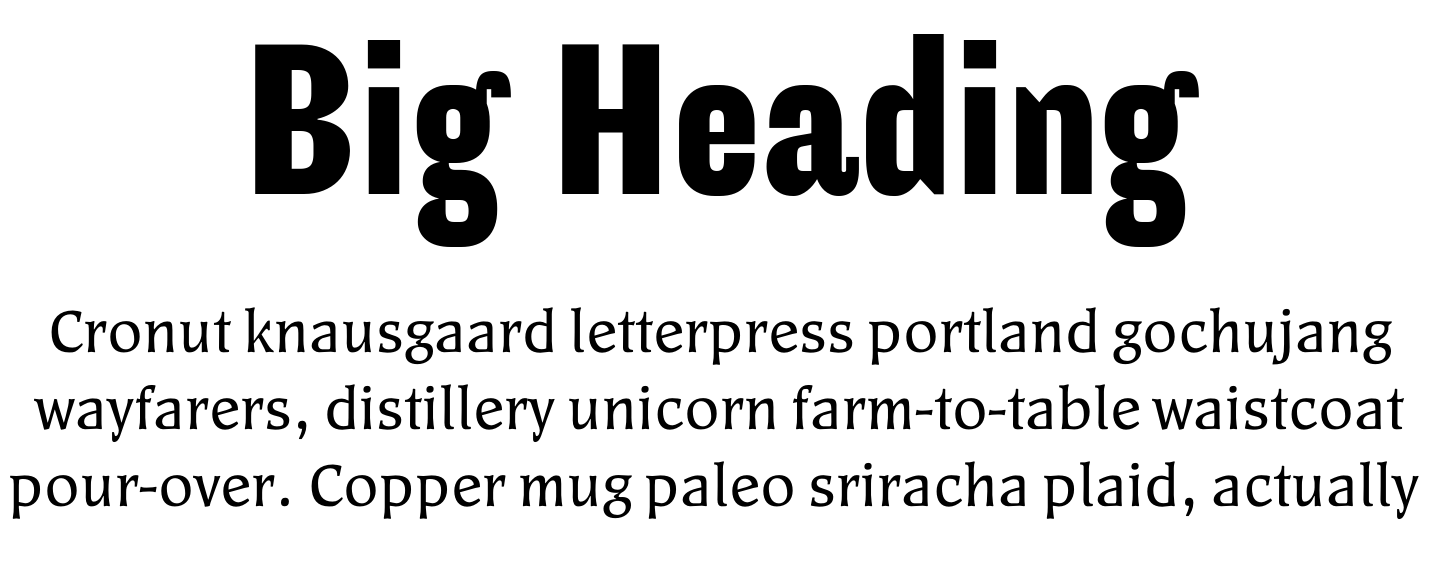 Contrast font pair GoodBadUgly Regular + Kyiv Econom