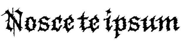 Text sample of Ukrainian font Lisboa Regular
