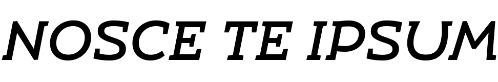 Text sample of font UMBA Slab Caps Medium Italic, 72px