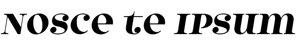 Text sample of Ukrainian font Model 4F Unicase Bold Italic