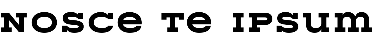 Text sample of Ukrainian font Rodeqa Slab 4F Bold