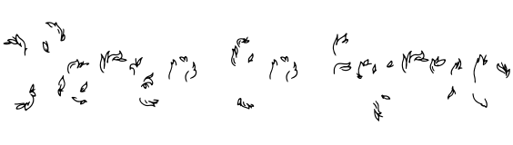 Text sample of font Sensa Brush Flora